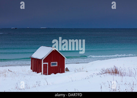 Rot isoliert Holz Rorbuer Kabine entlang der Küste in den Schnee im Winter, Lofoten-Inseln, Nordland, Norwegen, Skandinavien Stockfoto