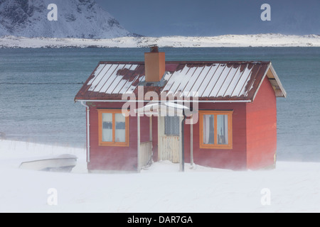 Rot isoliert Holz Rorbuer Kabine entlang der Küste in den Schnee im Winter, Lofoten-Inseln, Nordland, Norwegen, Skandinavien Stockfoto