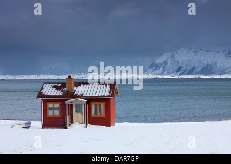 Rot isoliert Holz Rorbuer Kabine entlang der Küste in den Schnee im Winter, Lofoten-Inseln, Nordland, Norwegen, Skandinavien Stockfoto