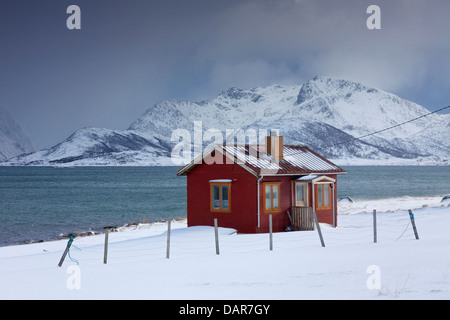 Rot isoliert Holz Rorbuer Kabine entlang der Küste in den Schnee im Winter, Lofoten-Inseln, Nordland, Norwegen, Skandinavien Stockfoto