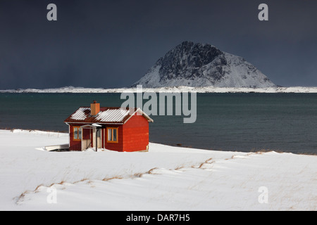 Rot isoliert Holz Rorbuer Kabine entlang der Küste in den Schnee im Winter, Lofoten-Inseln, Nordland, Norwegen, Skandinavien Stockfoto