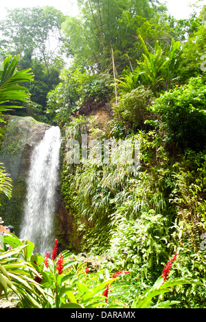 Diamant-Wasserfälle, St Lucia Stockfoto