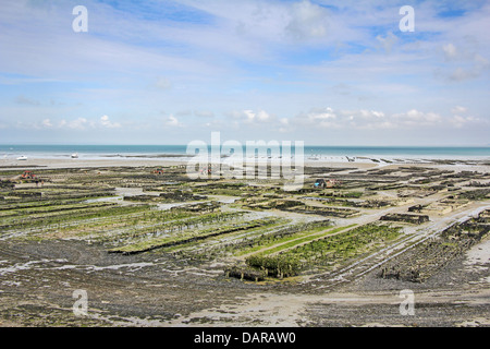 Austern-Parks in Cancale, Frankreich bei Ebbe Stockfoto