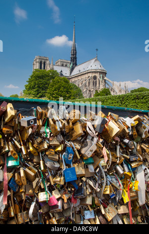 Liebesschlösser entlang Pont de l'Archevêché unterhalb der Kathedrale Notre Dame, Paris Frankreich Stockfoto