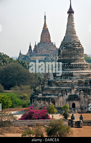 Der goldene Ananda Pahto Tempel hinter einem Stupa in der Bagan-Ebene. Stockfoto