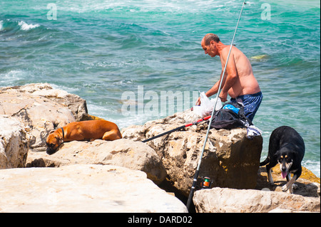Israel Tel Aviv Jaffa Jaffa angler fisherman Mann in Trunks & 2 zwei Hund Hunde Meerwasser Angelruten rod Rock rocks Stockfoto
