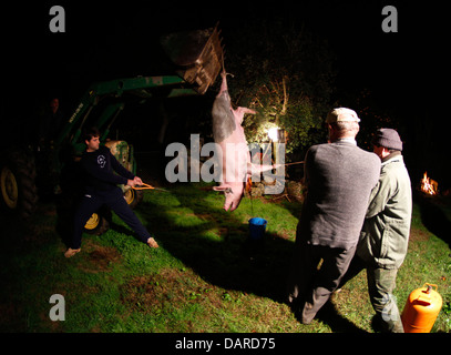 Verschiedene Szenen aus einem traditionellen Schlachtung-Tag in einem Dorf in der spanischen Insel Mallorca. Stockfoto