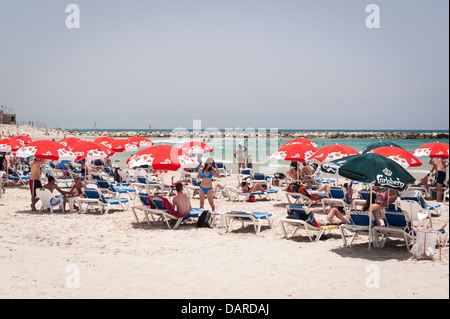 Israel Tel Aviv sand Strand Sonnenschirme Sonnenschirme sonnenschirm Meer liege Liegestühle Personen Sonnenanbeter Schwimmen Schwimmer Stein Wellenbrecher Meer Stockfoto
