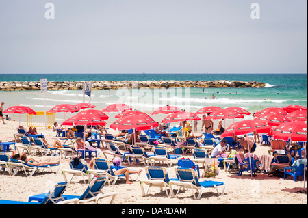 Israel Tel Aviv sand Strand Sonnenschirme Sonnenschirme sonnenschirm Meer liege Liegestühle Personen Sonnenanbeter Schwimmen Schwimmer Stein Wellenbrecher Meer Stockfoto