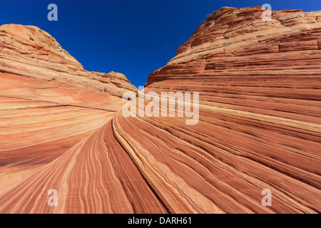 Felsformationen in den North Coyote Buttes, Teil der Vermilion Cliffs National Monument. Dieser Bereich ist auch bekannt als The Wave. Stockfoto