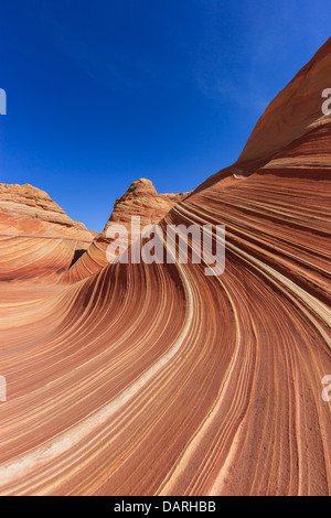 Felsformationen in den North Coyote Buttes, Teil der Vermilion Cliffs National Monument. Dieser Bereich ist auch bekannt als The Wave. Stockfoto