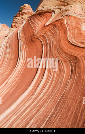 Felsformationen in den North Coyote Buttes, Teil der Vermilion Cliffs National Monument. Dieser Bereich ist auch bekannt als The Wave. Stockfoto