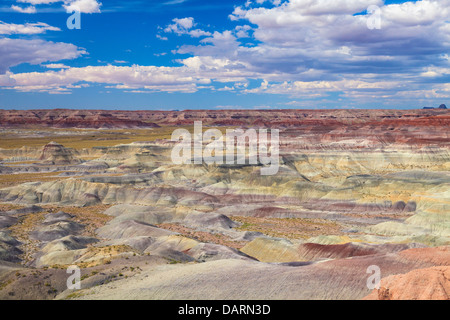 USA, Arizona, Holbrook, versteinerte Wald Nationalpark, Badlands Stockfoto