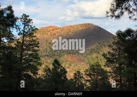 USA, Arizona, Flagstaff, Sunset Crater Nationalmonument, Schlackenkegel und Vulkanlandschaft Stockfoto