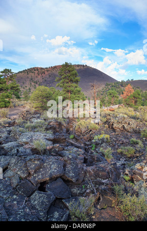 USA, Arizona, Flagstaff, Sunset Crater Nationalmonument, Schlackenkegel und Vulkanlandschaft Stockfoto