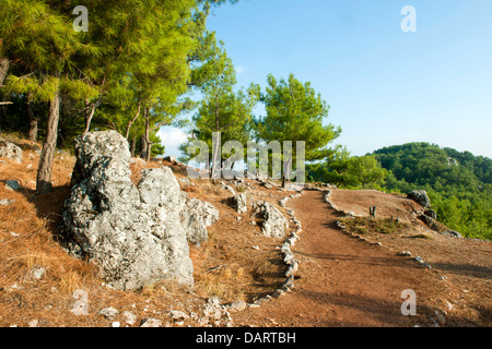 Asien, Ägypten, Provinz Mugla, Ausgrabung von Cadianda Nördlich von Fethiye Bei Yesil Üzümlü. Stockfoto