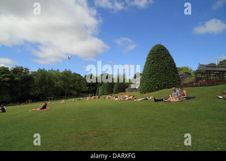 Botanische Gärten, Glasgow, Schottland, Großbritannien. 18. Juli 2013. Menschen, die das anhaltende schöne Wetter auf verschiedene Weise genießen. Paul Stewart / Alamy News Stockfoto