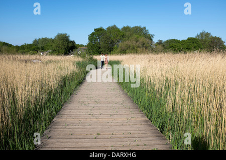 Cosmeston-Seen-Land-Park Stockfoto