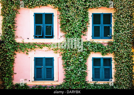 typische mediterrane Fassade umrahmt von Efeu Stockfoto