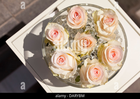 Overhead Luftaufnahme von rosa Rosen in einer Glasschale auf einem kleinen Tisch in starker Sonne. Stockfoto