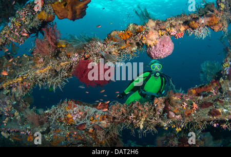 Weibliche Taucher erkunden äußere des Wracks, Tulamben, Bali, Indonesien Stockfoto