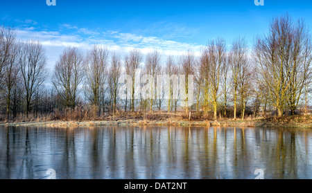 Ein Frostiger Morgen am Millennium Teich Pickering in North Yorkshire Stockfoto