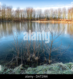 Ein Frostiger Morgen am Millennium Teich Pickering in North Yorkshire Stockfoto