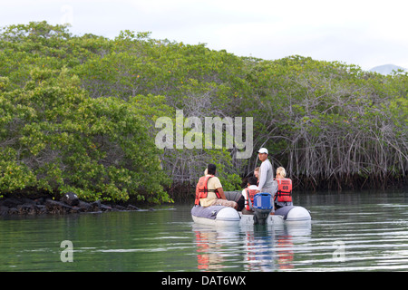 Beiboot Ausflug, Black Turtle Cove, Santa Cruz Insel, Galapagos-Inseln, Ecuador Stockfoto