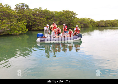 Beiboot Ausflug, Black Turtle Cove, Santa Cruz Insel, Galapagos-Inseln, Ecuador Stockfoto