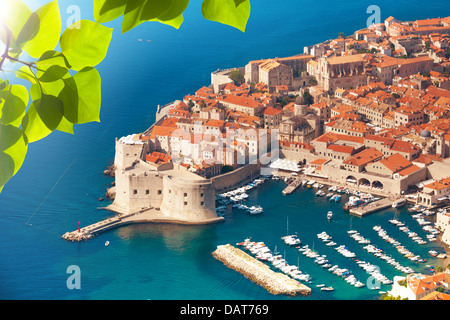 Blick auf Dubrovnik alten Stadthafen vom Berg oben durch das Laub Stockfoto