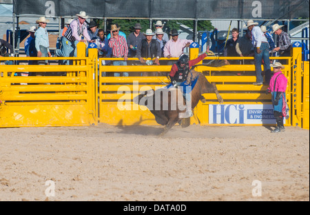 Cowboy-Teilnehmer in einem Bullenreiten Wettbewerb beim Helldorado Tage Professional Rodeo in Las Vegas Stockfoto