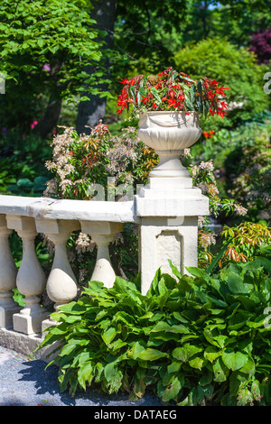 Ein dekorativen klassischen Sockel Pflanzer gefüllt mit Begonien in Halifax Public Gardens in Halifax, Nova Scotia, Kanada. Stockfoto