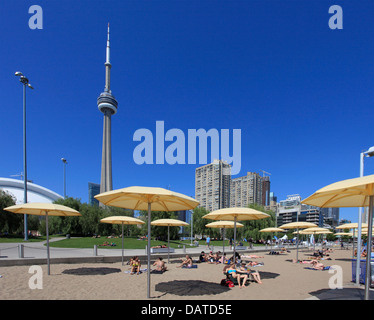 Kanada, Ontario, Toronto, Harbourfront, Strand, Menschen, CN Tower, Stockfoto