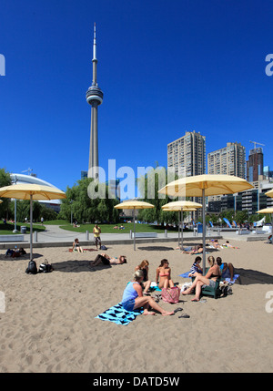 Kanada, Ontario, Toronto, Harbourfront, Strand, Menschen, CN Tower, Stockfoto