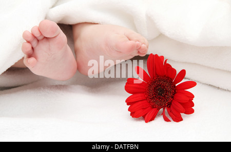 Baby Füße mit einer Blume im Vordergrund Stockfoto