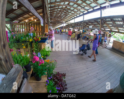 Farmers Market Steamboat Landing in der Region der Finger Lakes in Ithaca, New York Stockfoto