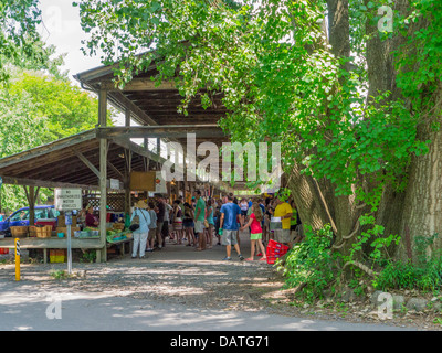 Farmers Market Steamboat Landing in der Region der Finger Lakes in Ithaca, New York Stockfoto