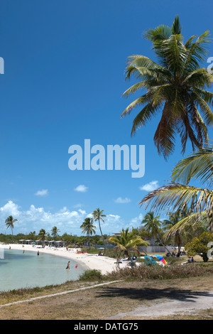 CALUSA STRAND BAHIA HONDA STATE PARK BAHIA HONDA KEY FLORIDA USA Stockfoto