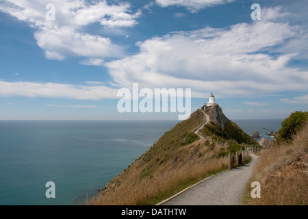 Weg bis zum Leuchtturm am Nugget Point, otgao, Neuseeland Stockfoto