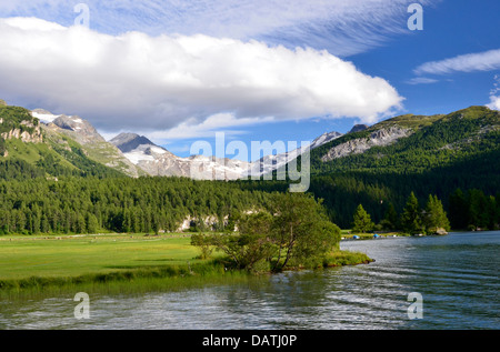 Silsersee Blick ins Fextal, Engadin, Schweiz Stockfoto