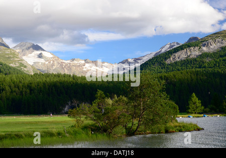 Silsersee Blick ins Fextal, Engadin, Schweiz Stockfoto