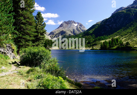 Es ist sehr lohnende von Maloja zum Cavloc-See gehen, wie es Sie mit einer wunderbaren Aussicht bietet! Stockfoto