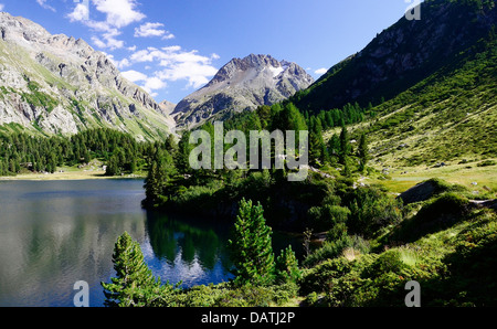 Es ist sehr lohnende von Maloja zum Cavloc-See gehen, wie es Sie mit einer wunderbaren Aussicht bietet! Stockfoto