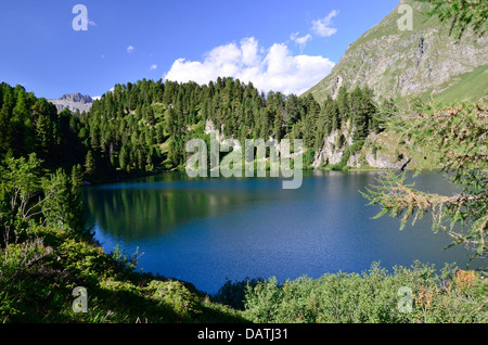 Es ist sehr lohnende von Maloja zum Cavloc-See gehen, wie es Sie mit einer wunderbaren Aussicht bietet! Stockfoto