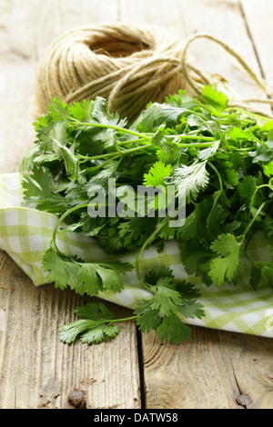 Reihe von frischen grünen Koriander (Cilantro) auf einem Holztisch Stockfoto
