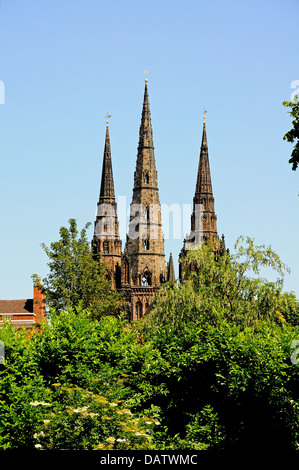 Drei Türme der Kathedrale von Beacon Park, Lichfield, Staffordshire, England gesehen, Westeuropa. Stockfoto