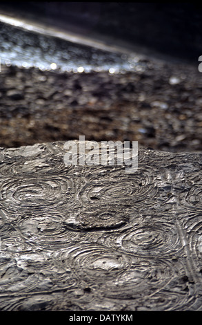 Fossilien von Ammoniten in Felsen im Kimmeridge Bay, Dorset, England UK Stockfoto