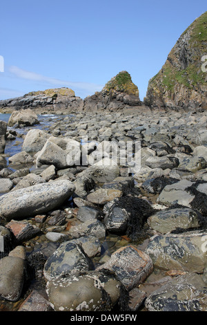 Vögel Rock "Craig yr Adar" Llyn Halbinsel, Wales Stockfoto