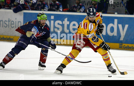 Nurembergs Justin Mapletoft (L) wetteifert für den Puck mit Düsseldorfer David Cullen in den Play-off-Halbfinale Nürnberg Ice Tigers vs. Duessedorf Metro Stars in Nürnberg, Dienstag, 3. April 2007. Stockfoto