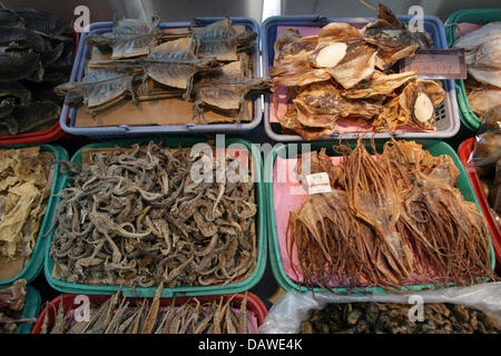 Getrocknete Tiere wie Fledermäuse, Seepferdchen oder Calarmari stehen zum Verkauf in der traditionellen chinesischen Medizin (TCM) in Singapur, Singapur, 31. März 2007 verwendet werden. Foto: Peter Kneffel Stockfoto